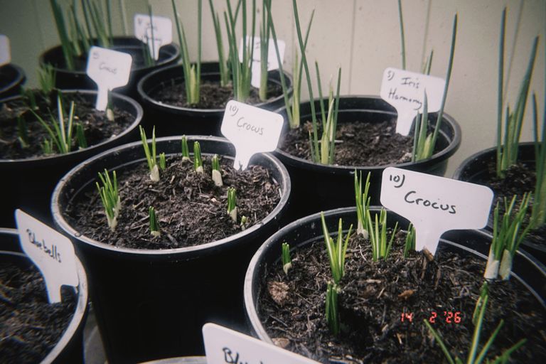 Artwork from project Studio and Life